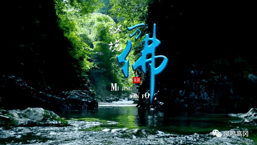 人民建议直通车丨中医药怎么“出圈”？听听中医学博士怎么说