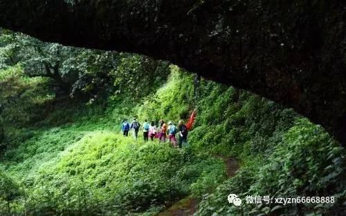 中文在线预计2023年净利润同比增119.34%至129.00%