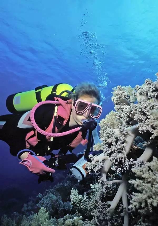 海盗的寻宝之旅